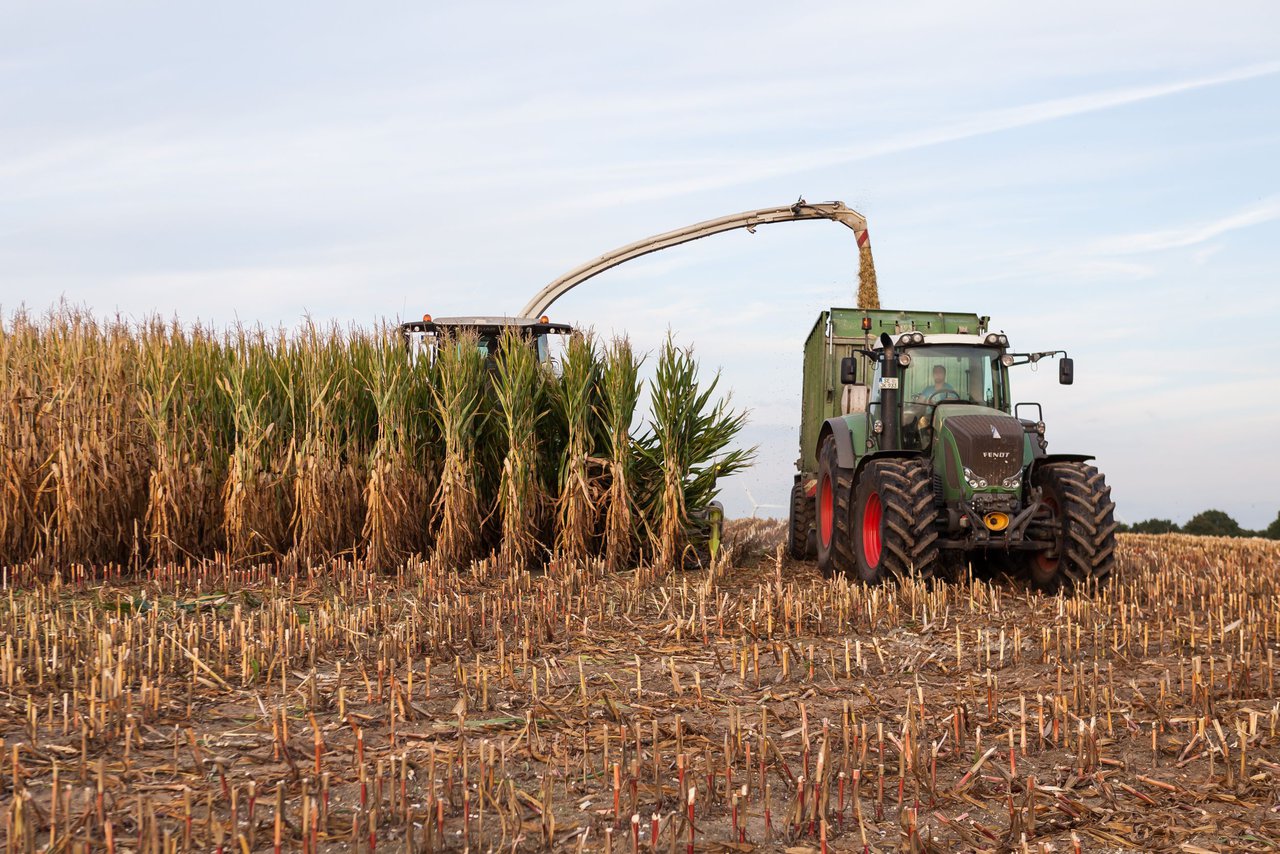 Bild 89 - Maisernte 2016